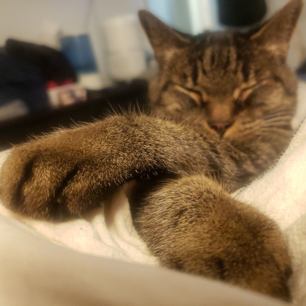 Meet your Posher, Jessica